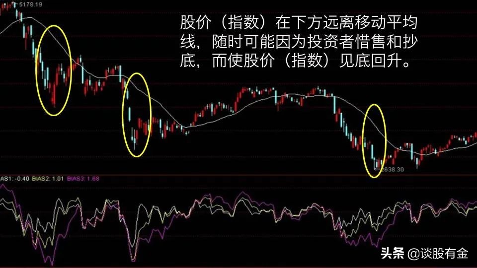 助力女企业家抢占“数字先机”